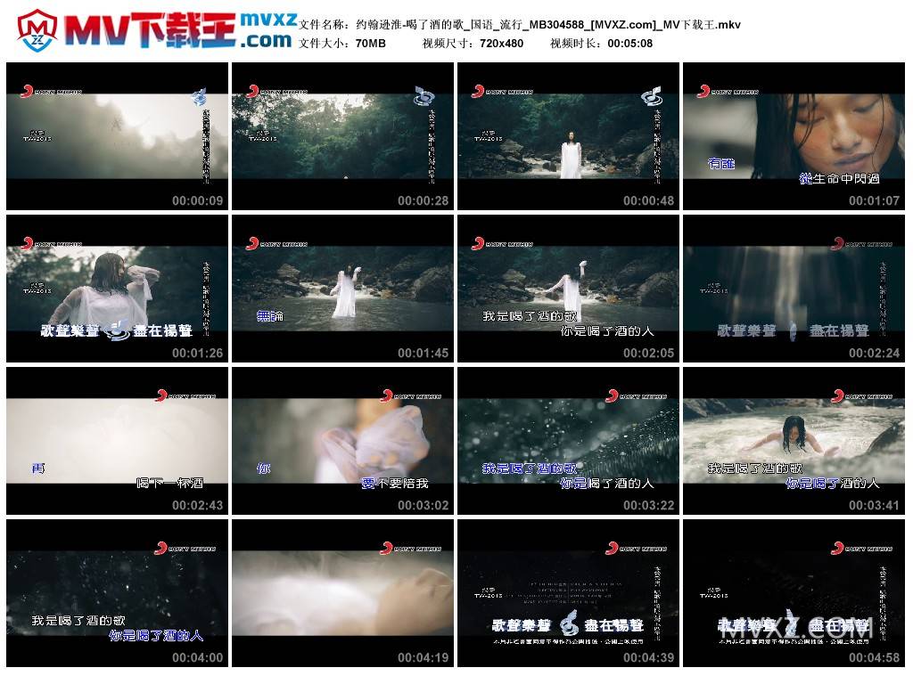 约翰逊淮-喝了酒的歌_国语_流行_MB304588